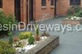 Executive (31)